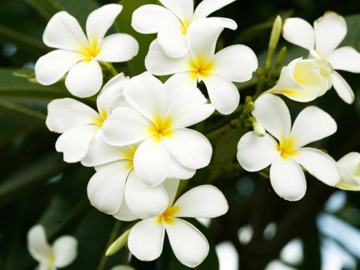 430463 (a): :1600x1200